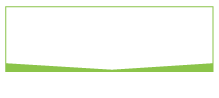 Polaris & Partners Logo